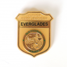Plastic badge with pin back