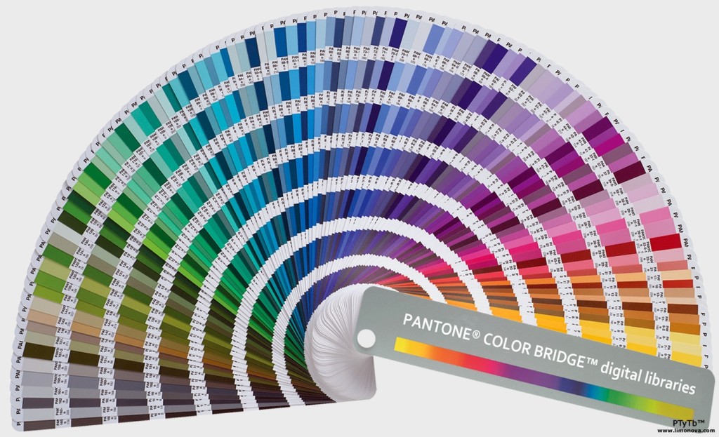 Pantone-1024x622@2x