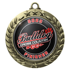 stock medal